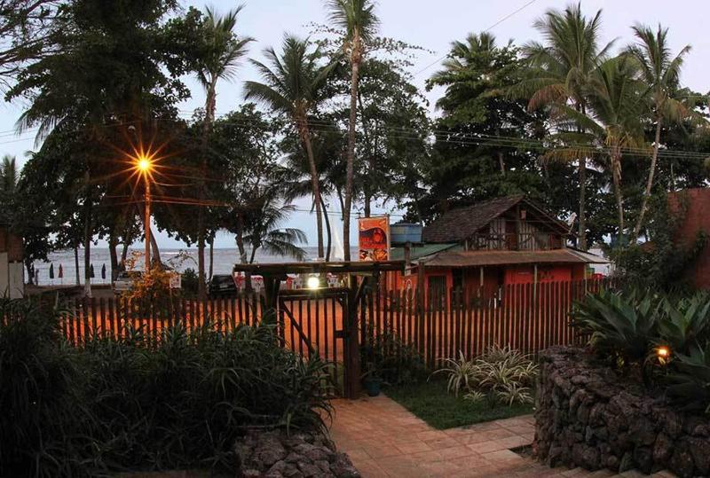 Concha Tropical Flat - image 27