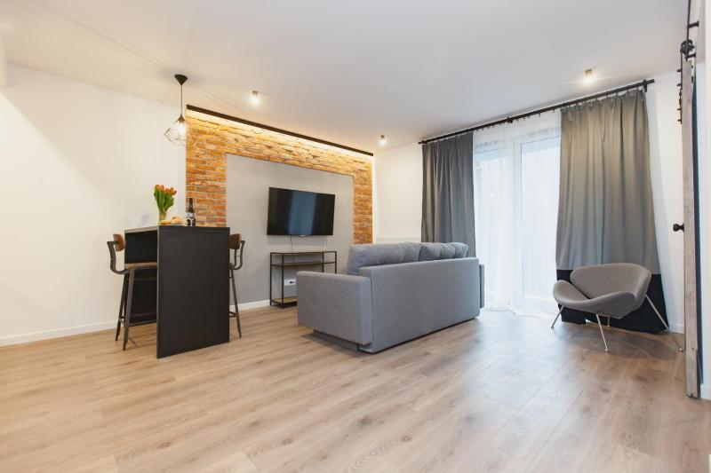 One-Bedroom Apartment image 2