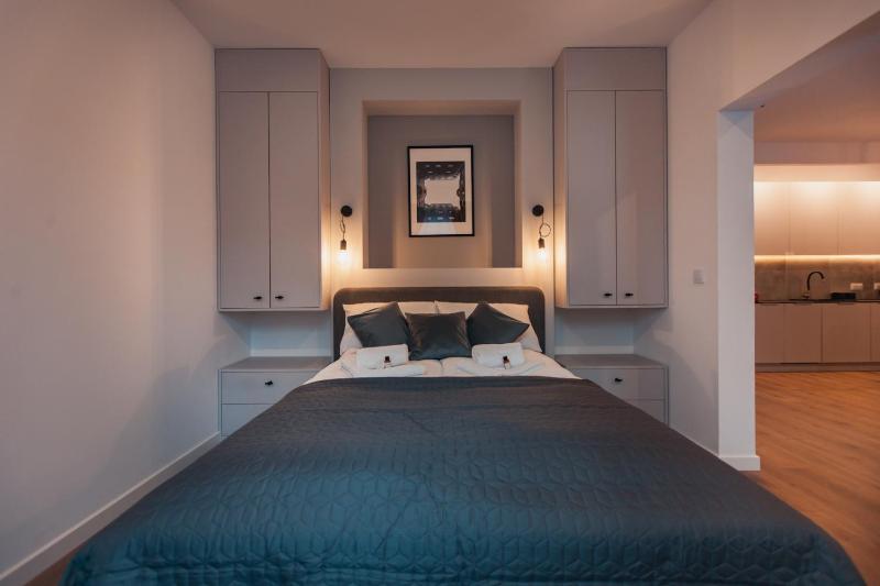 One-Bedroom Apartment image 3