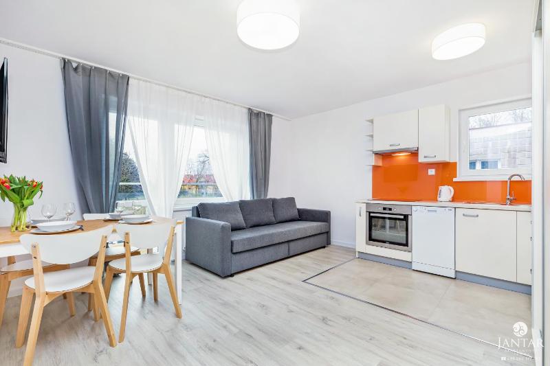 One-Bedroom Apartment image 3