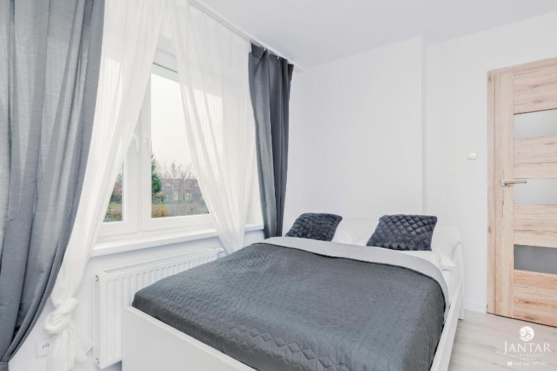 One-Bedroom Apartment image 4