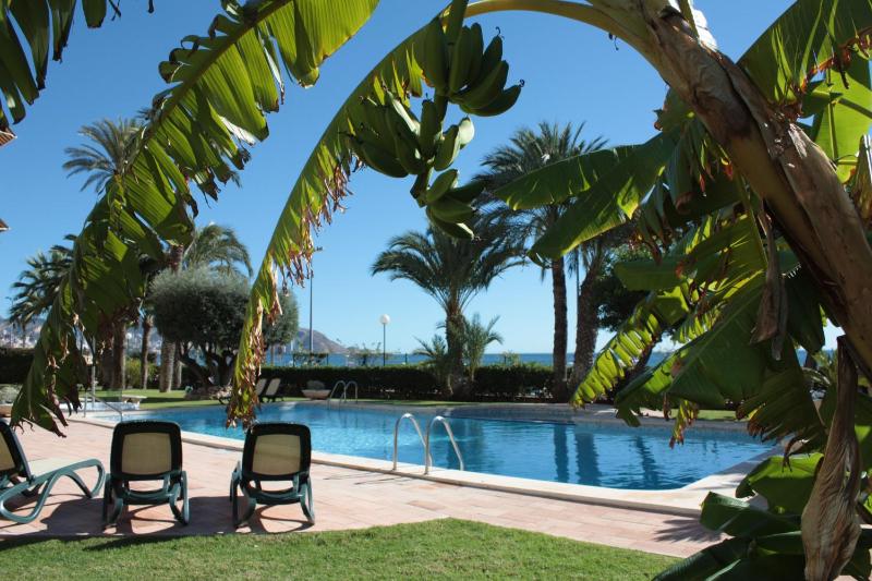 Apartamentos María Cristina Beach - image 12