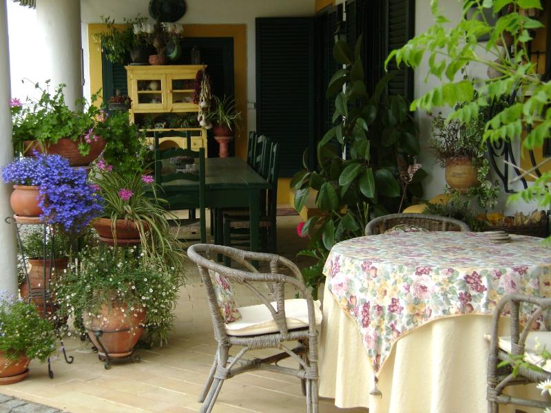 One-Bedroom Apartment image 3