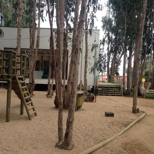 Departamento Algarrobo Norte - image 6