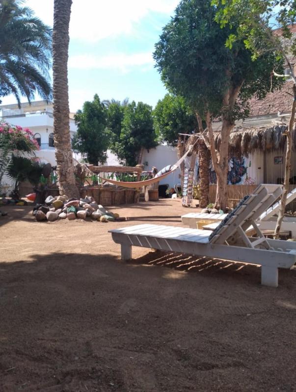 Sunrise Dahab lodge - image 8