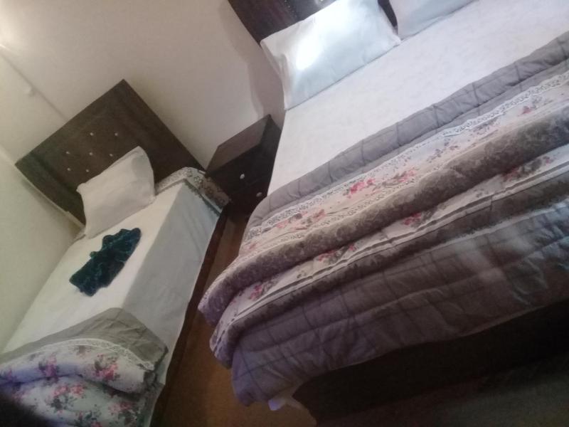 Deluxe Double or Twin Room with City View