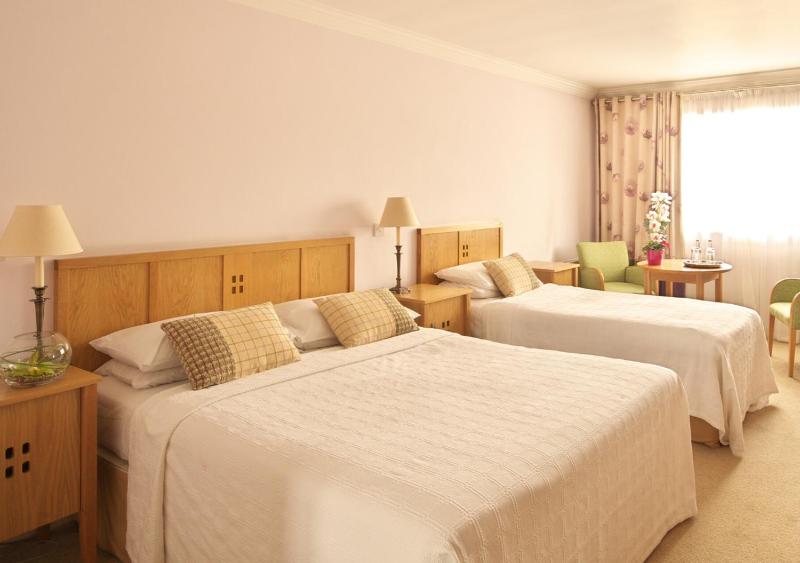 Triple Room with 1 Double and  1 Single Bed image 2