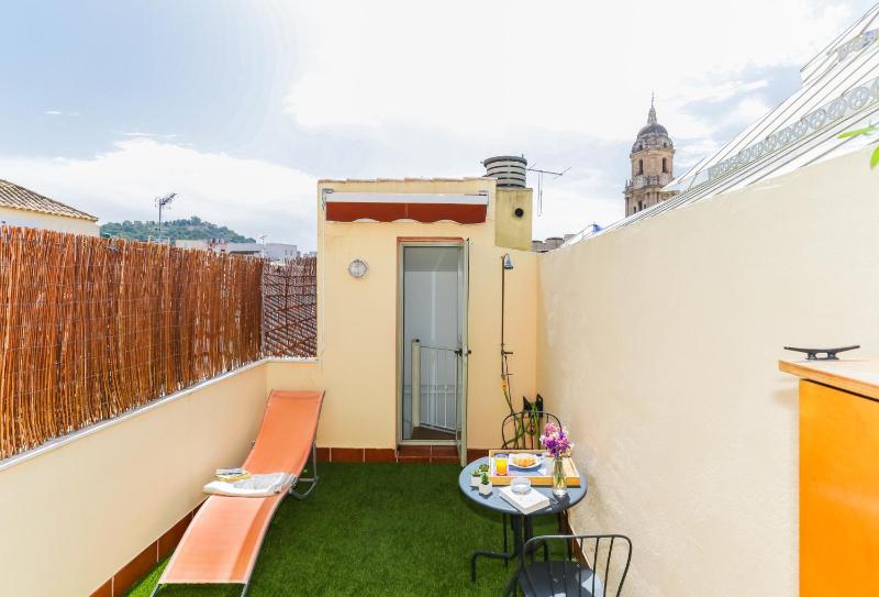 One-Bedroom Apartment with Terrace image 3