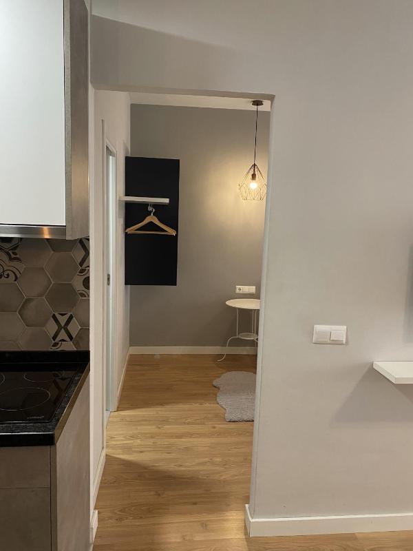 One-Bedroom Apartment image 3