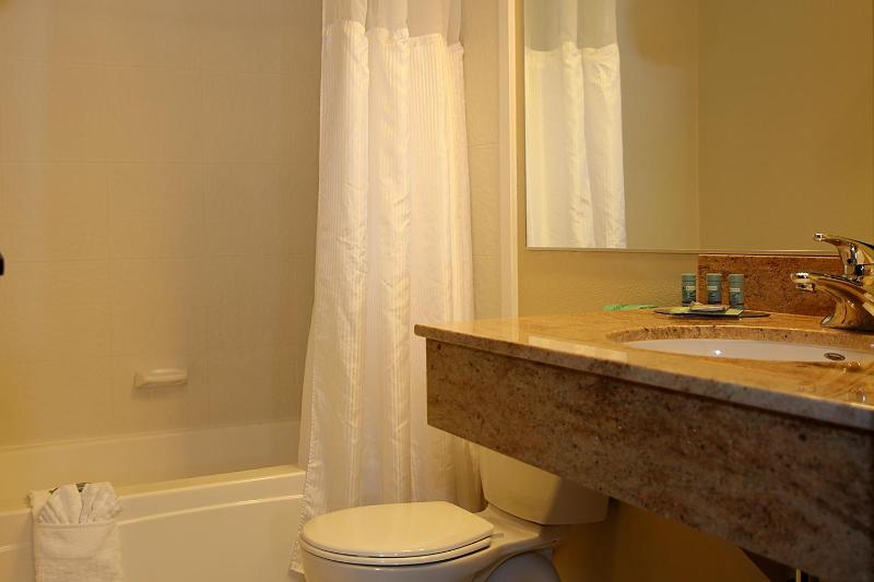 King Suite with Wet Bar - Non-Smoking image 3
