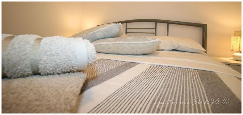 Two-Bedroom Apartment image 4