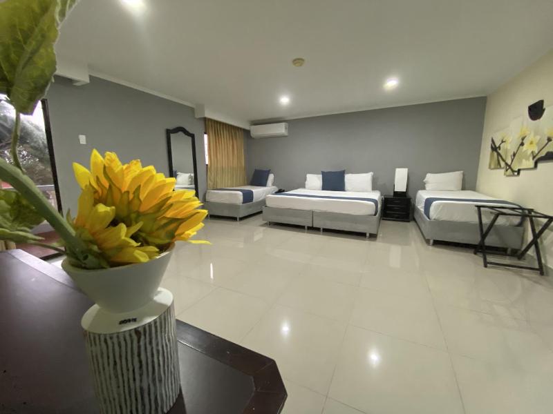 Hotel Puerta de Oro - image 36