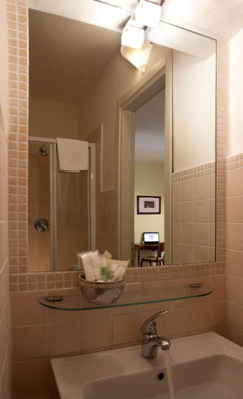 Single Room image 2