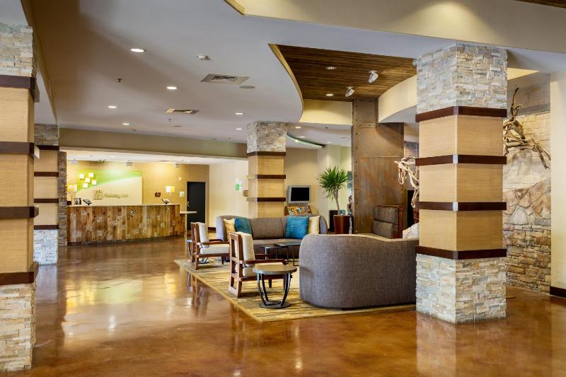 Holiday Inn San Antonio SeaWorld by IHG - image 29