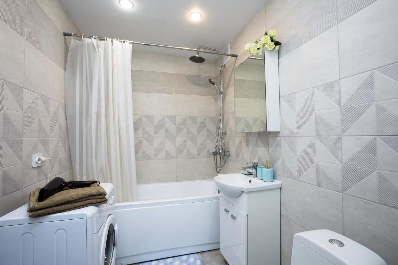One-Bedroom Apartment image 3