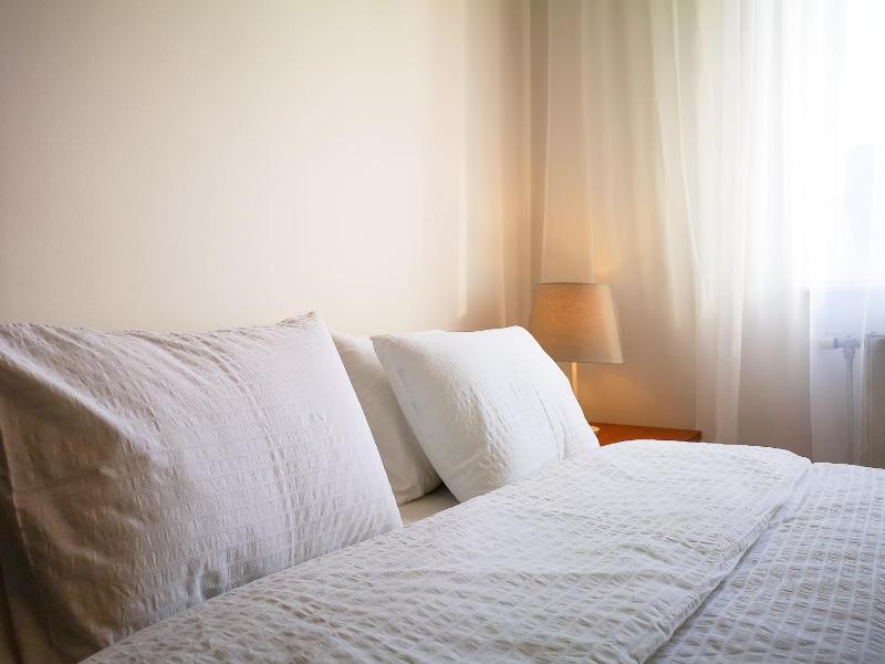 One-Bedroom Apartment image 3
