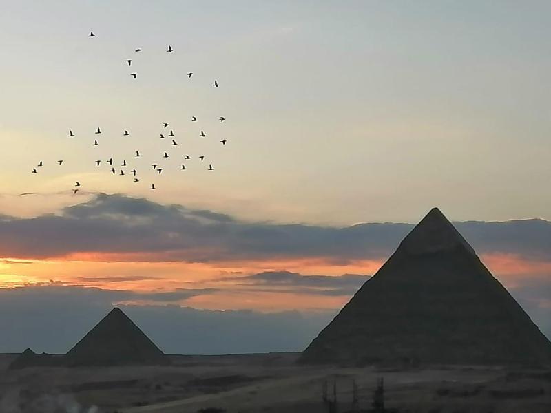 Draz pyramids view Bed & breakfast - image 14