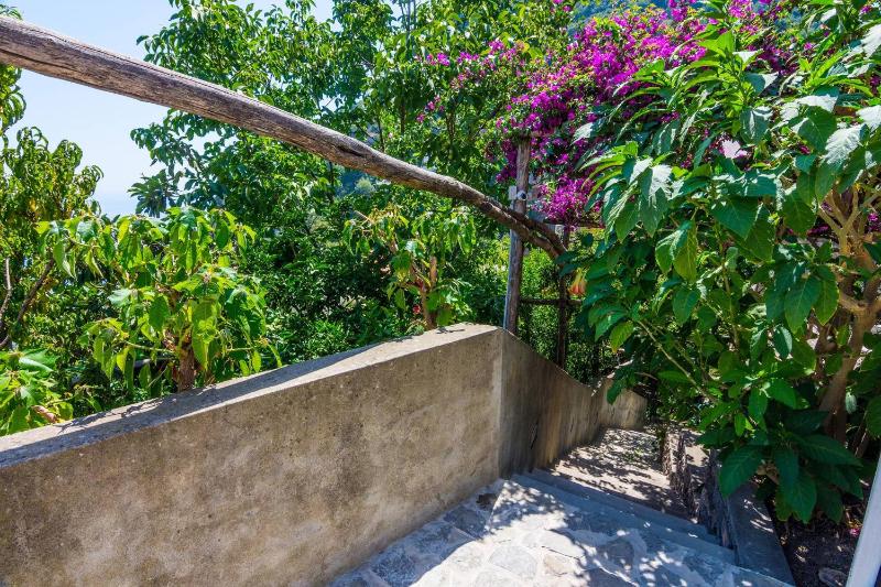 Positano Comfortableapt With Gorgeous Lemongarden - image 50