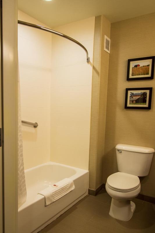 King Suite - Non-Smoking image 4