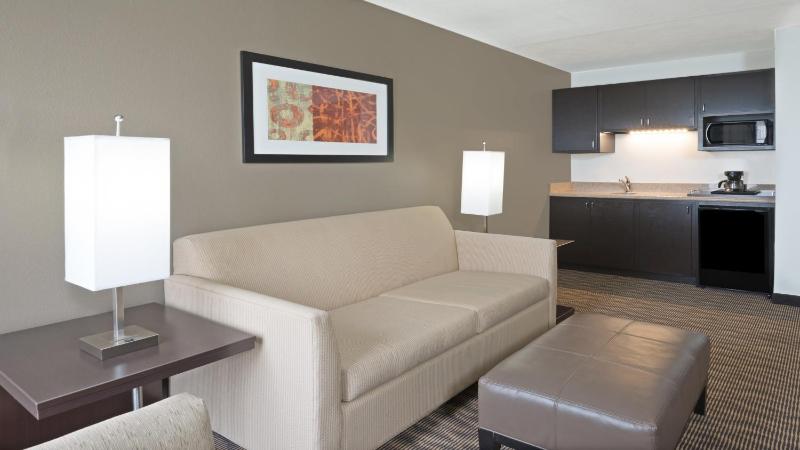 One-Bedroom King Suite image 2