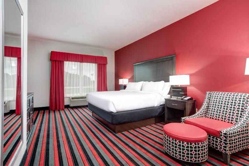 King Studio Suite image 1