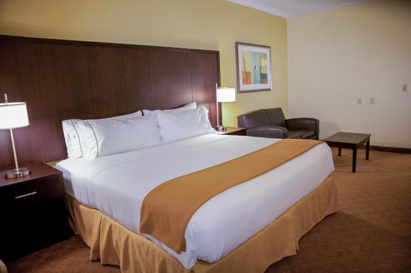 Holiday Inn Express Hotel & Suites Houston North Intercontinental By IHG - image 32