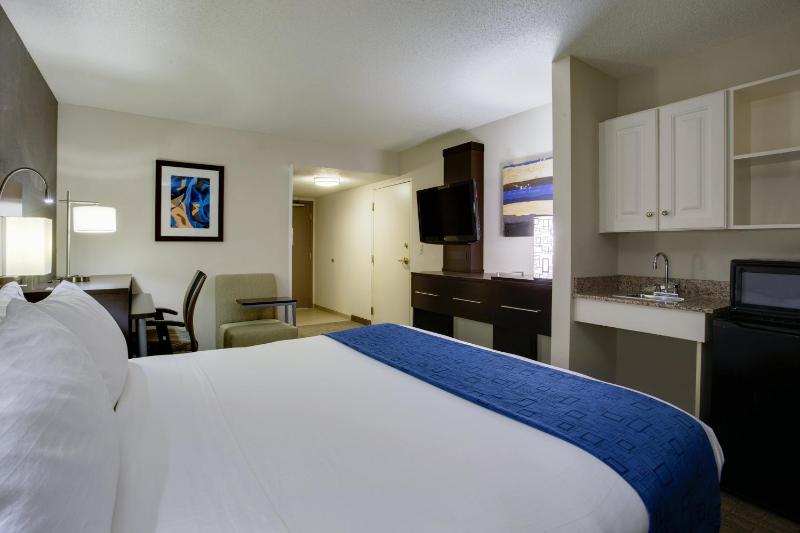 King Room with Roll-In Shower - Hearing Accessible image 4