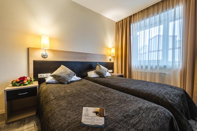 Standard Double or Twin Room with Gym Access image 1