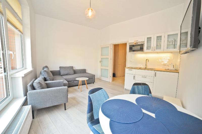 One-Bedroom Apartment image 2