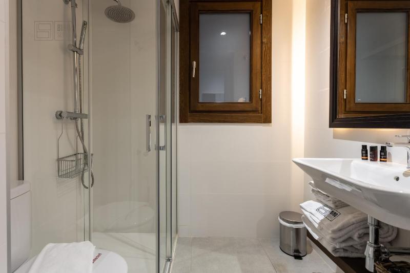 BiBo Suites Plaza Nueva - image 2