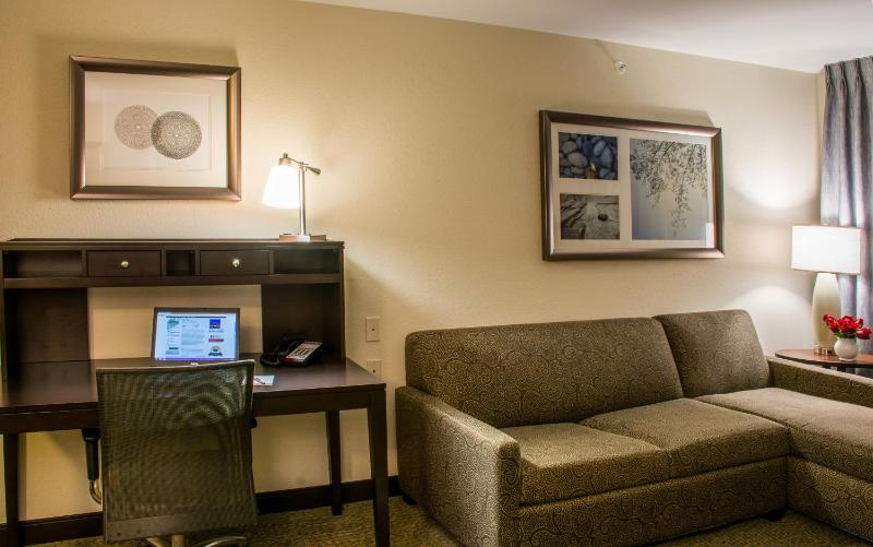 King Studio Suite image 4