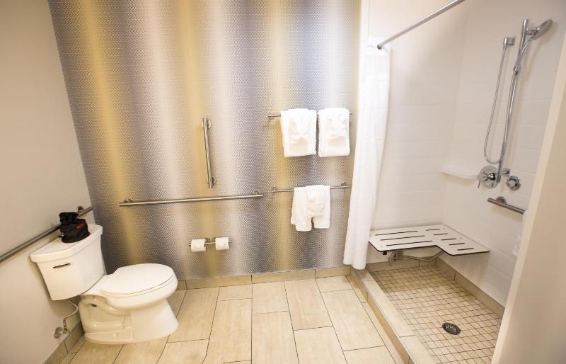 King Room - Disability Access Roll-In Shower image 2