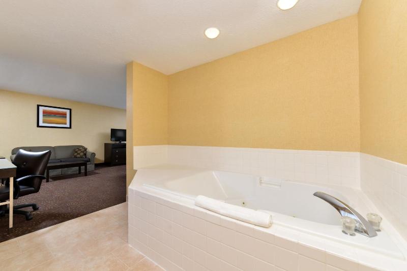 Deluxe King Suite image 2