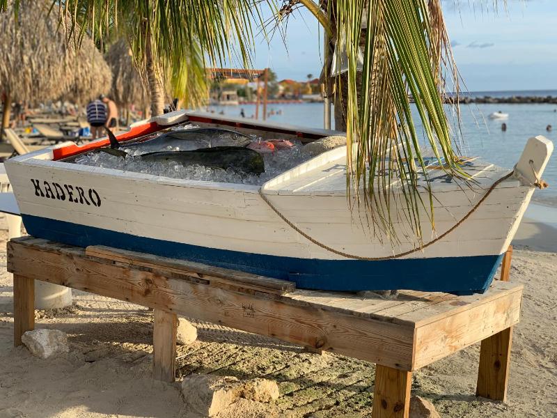 Bon Bini na Curacao - image 19