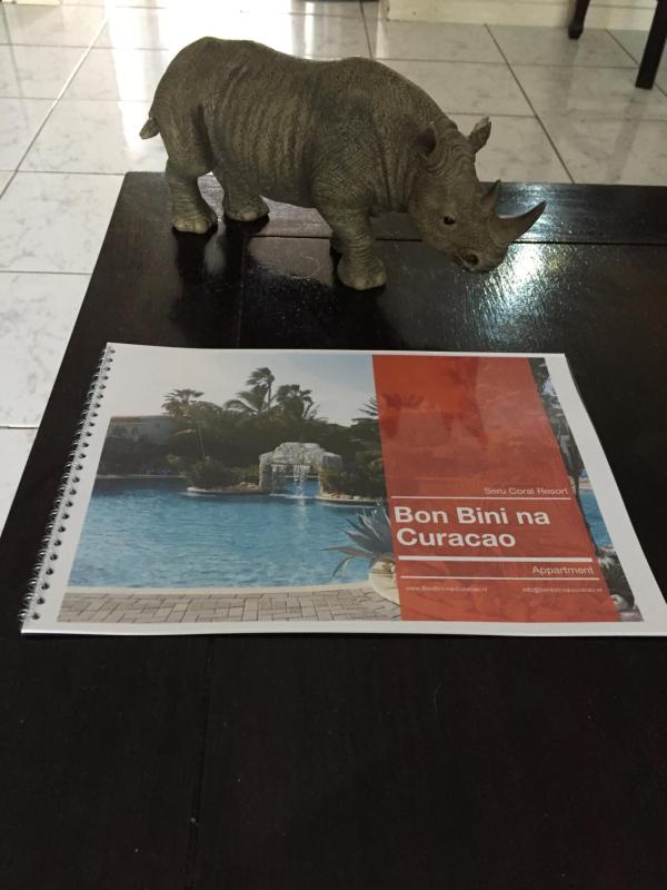 Bon Bini na Curacao - image 18