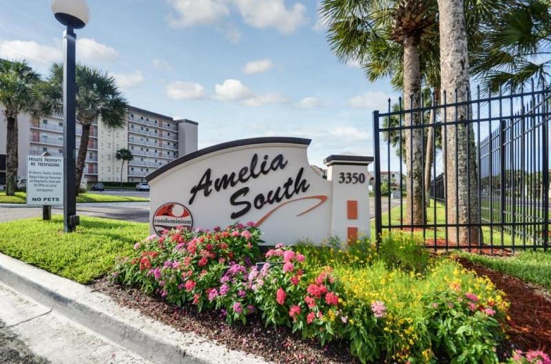 Amelia South - image 2