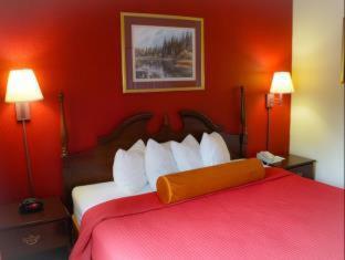 Room #7863814 image 2