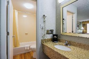 Room #18787010 image 4