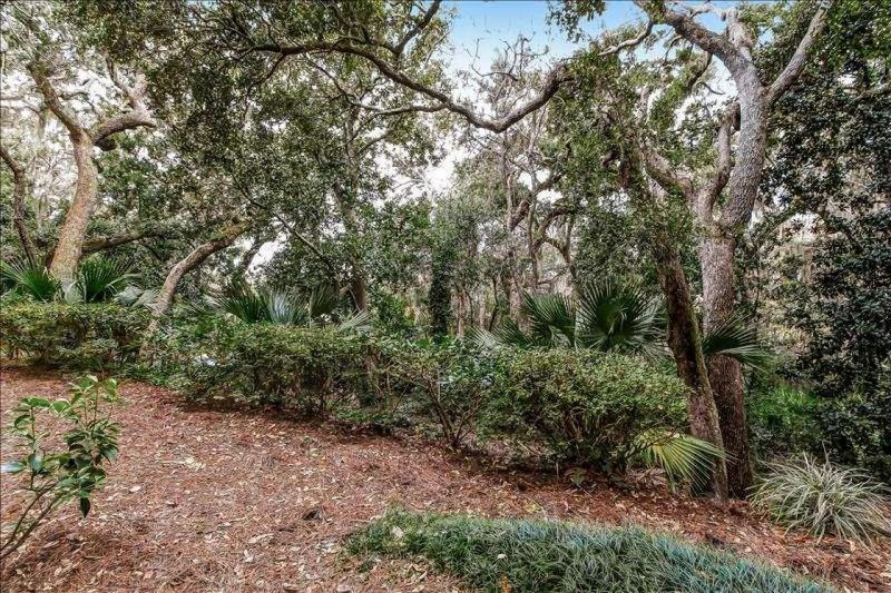 Amelia Island Plantation - image 9