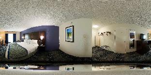 Room #31299207 image 3