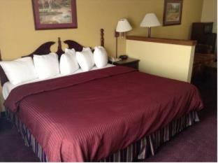Queen Room with Bathtub - Mobility Access/Non-Smoking image 4