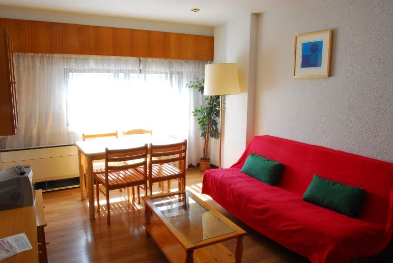 Apartamentos Goya 75 - image 6