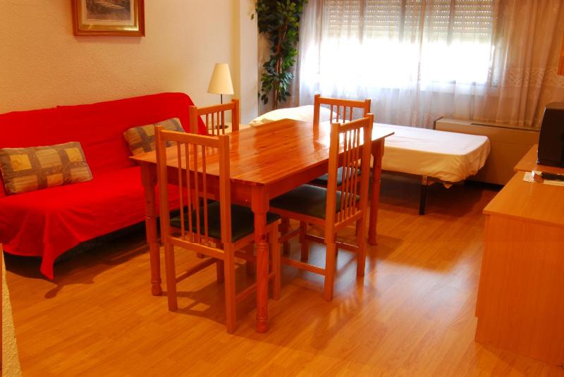 Apartamentos Goya 75 - image 12