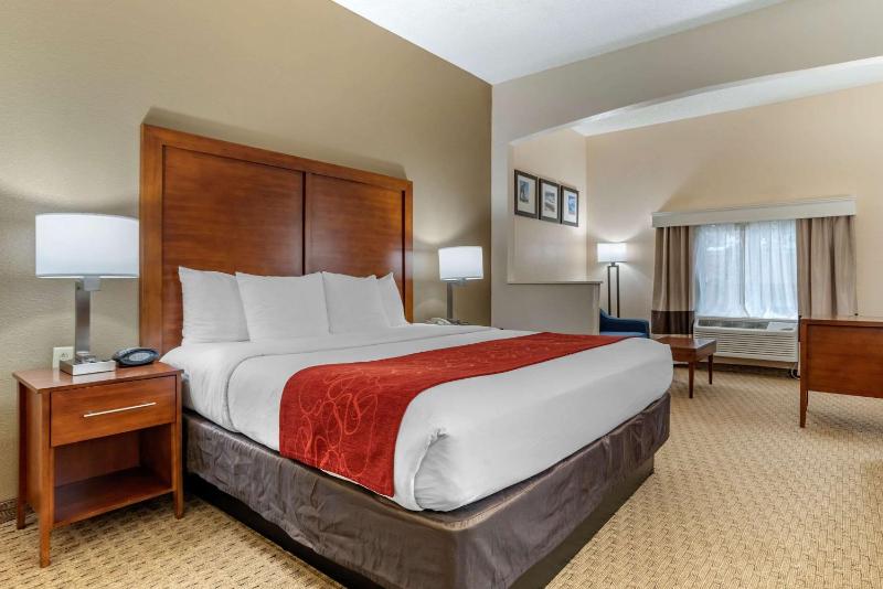 Comfort Suites Jacksonville Airport - image 6