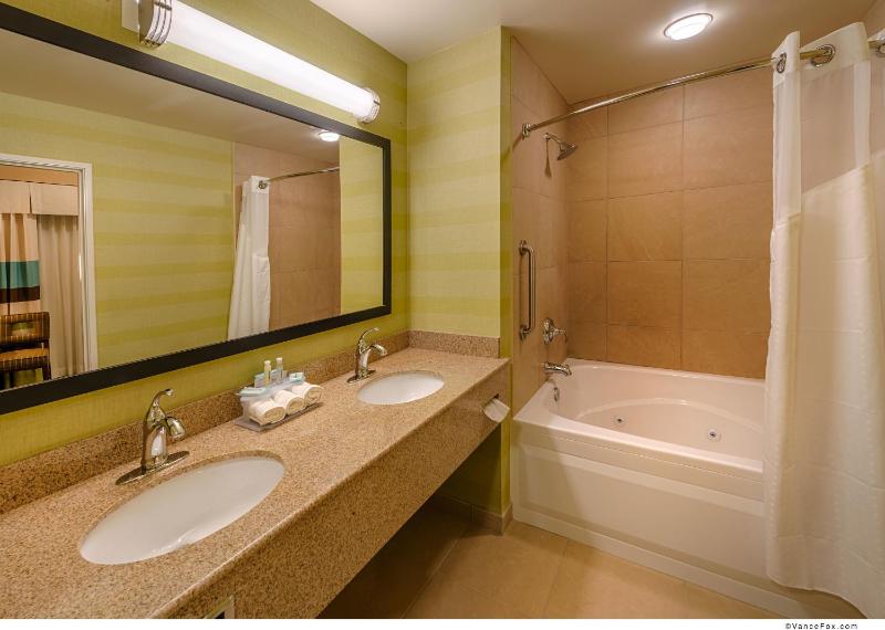 Deluxe King Suite image 3
