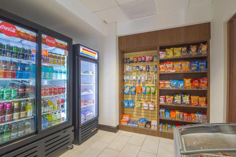 Holiday Inn Express Hotel & Suites Tampa-USF-Busch Gardens By IHG - image 7