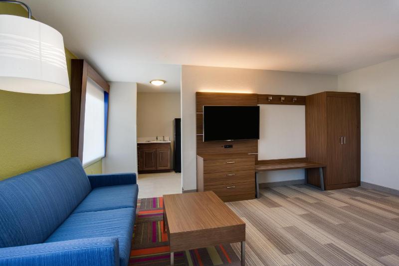 Holiday Inn Express Hotel & Suites Tampa-Fairgrounds-Casino By IHG - image 38