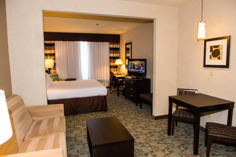 Holiday Inn Express Hotel & Suites Houston NW Beltway 8-West Road By IHG - image 8