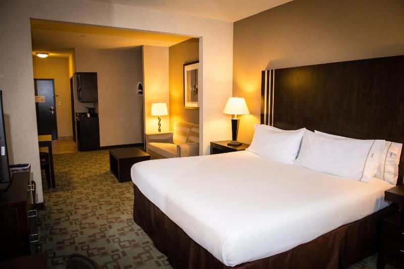 Holiday Inn Express Hotel & Suites Houston NW Beltway 8-West Road By IHG - image 30