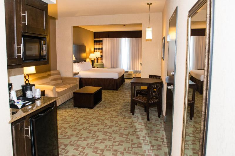 Holiday Inn Express Hotel & Suites Houston NW Beltway 8-West Road By IHG - image 34